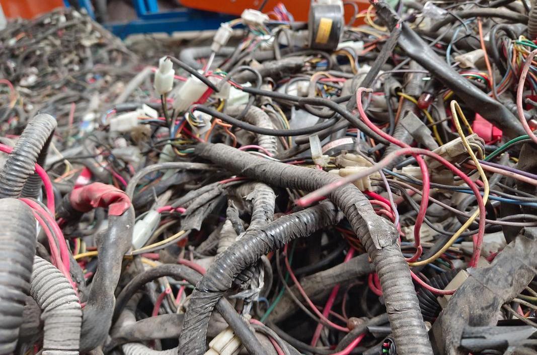 w66国际·利来(中国)最给力的老牌