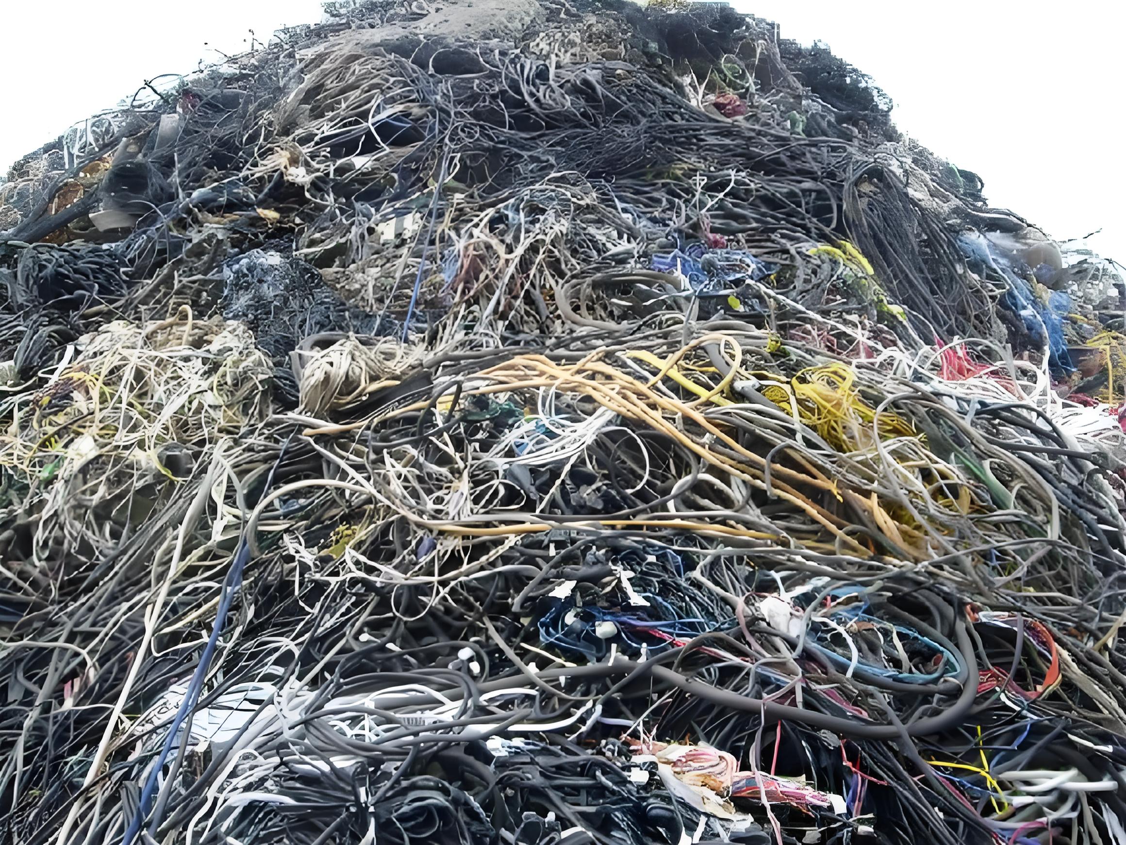 w66国际·利来(中国)最给力的老牌