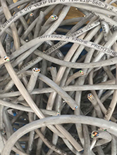 w66国际·利来(中国)最给力的老牌